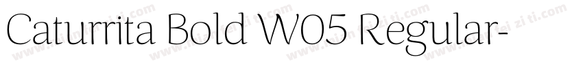 Caturrita Bold W05 Regular字体转换